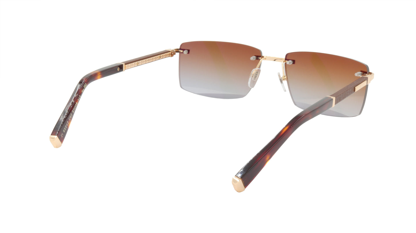 ZILLI Sunglasses Titanium Acetate Leather Gradient France Handmade ZI 65042 C02