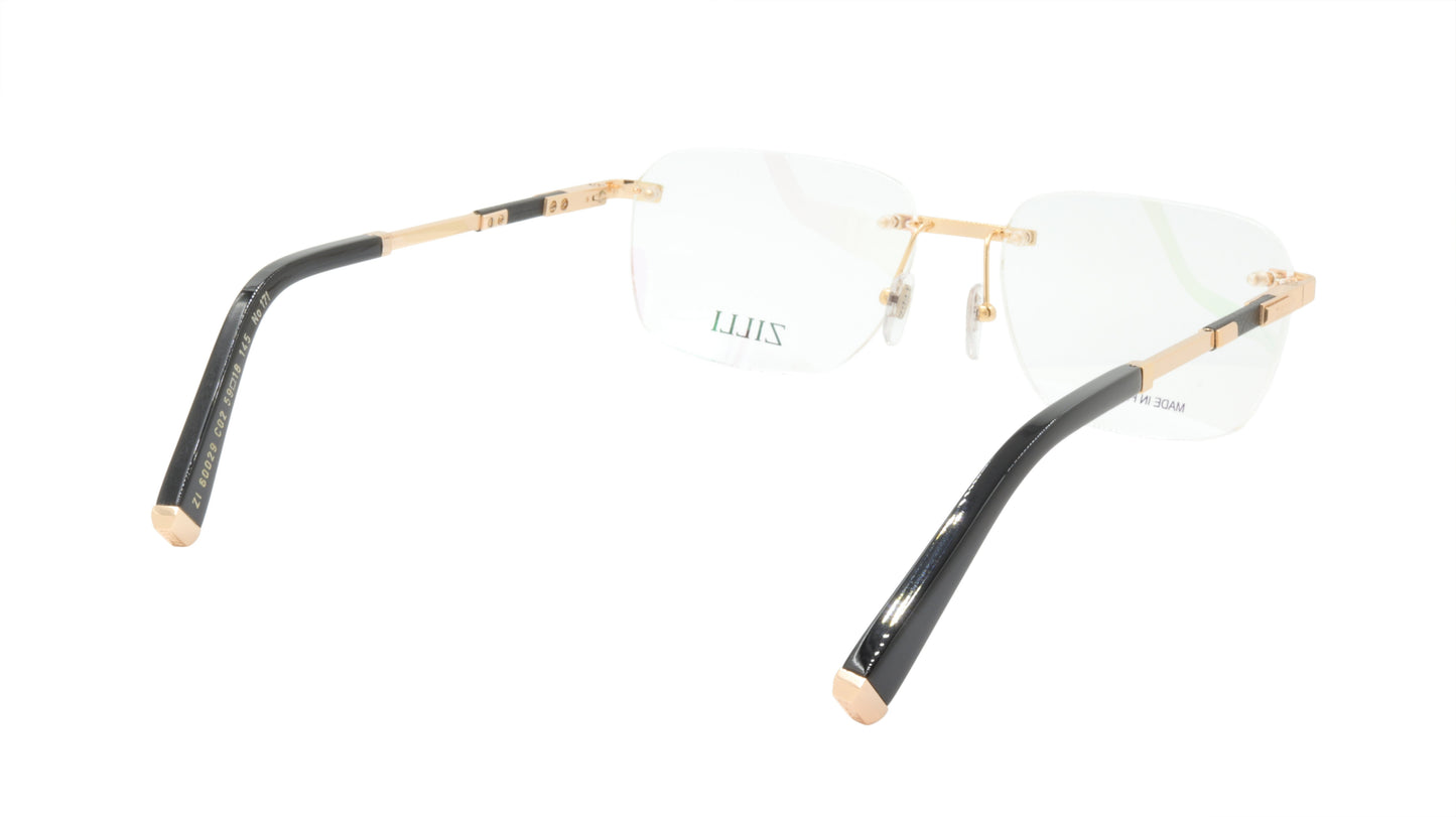 ZILLI Eyeglasses Frame Titanium Acetate Leather France Made ZI 60029 C02