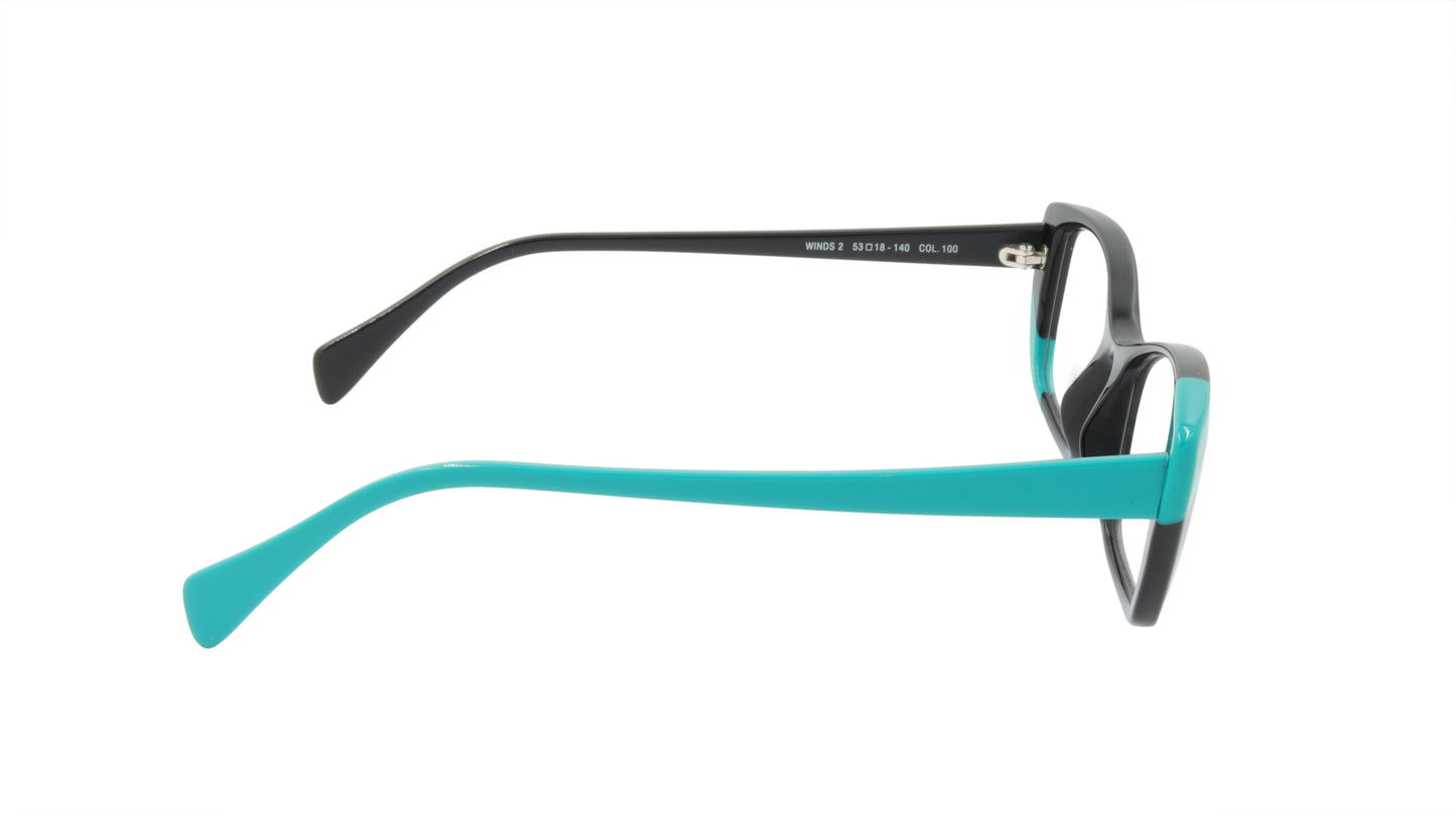 Face A Face Eyeglasses Frame WINDS 2 Col. 100 Acetate Black