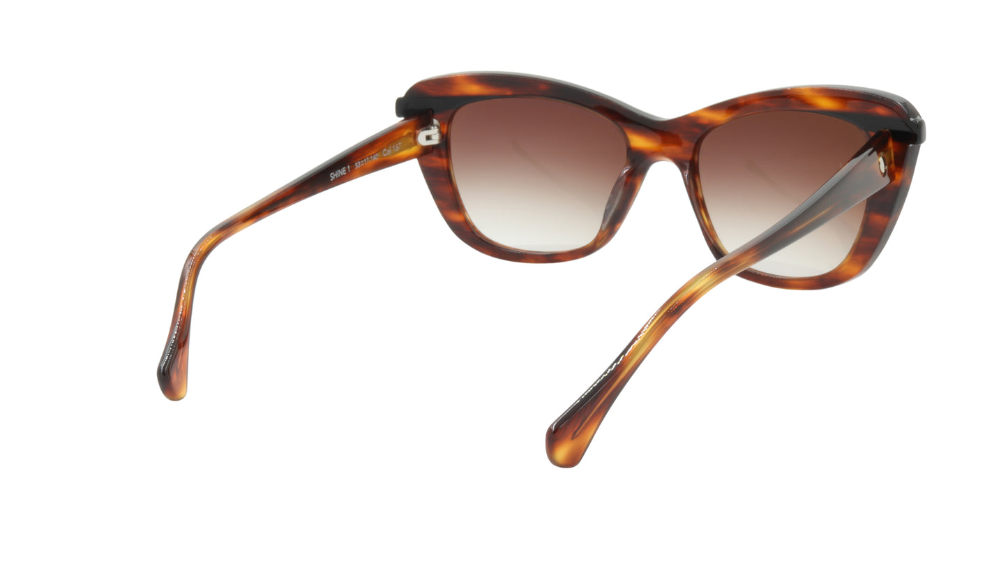 Face A Face Sunglasses Frame SHINE 1 Col. 167 Acetate Brown Horn Black