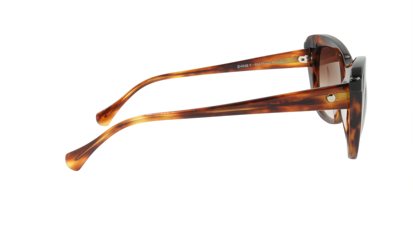 Face A Face Sunglasses Frame SHINE 1 Col. 167 Acetate Brown Horn Black